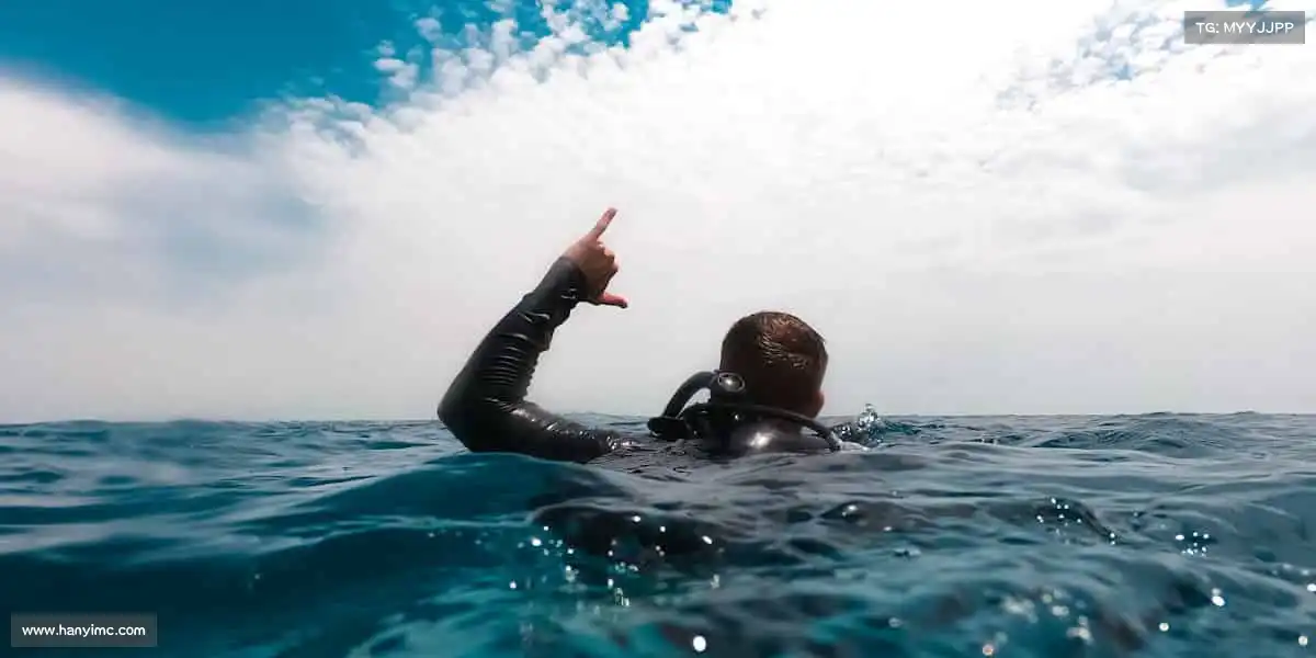 我们的品牌价值